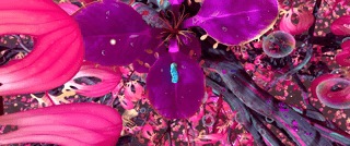 99-Rsources/Assets/68747470733a2f2f6769662e736b692f64656d6f2e676966.gif